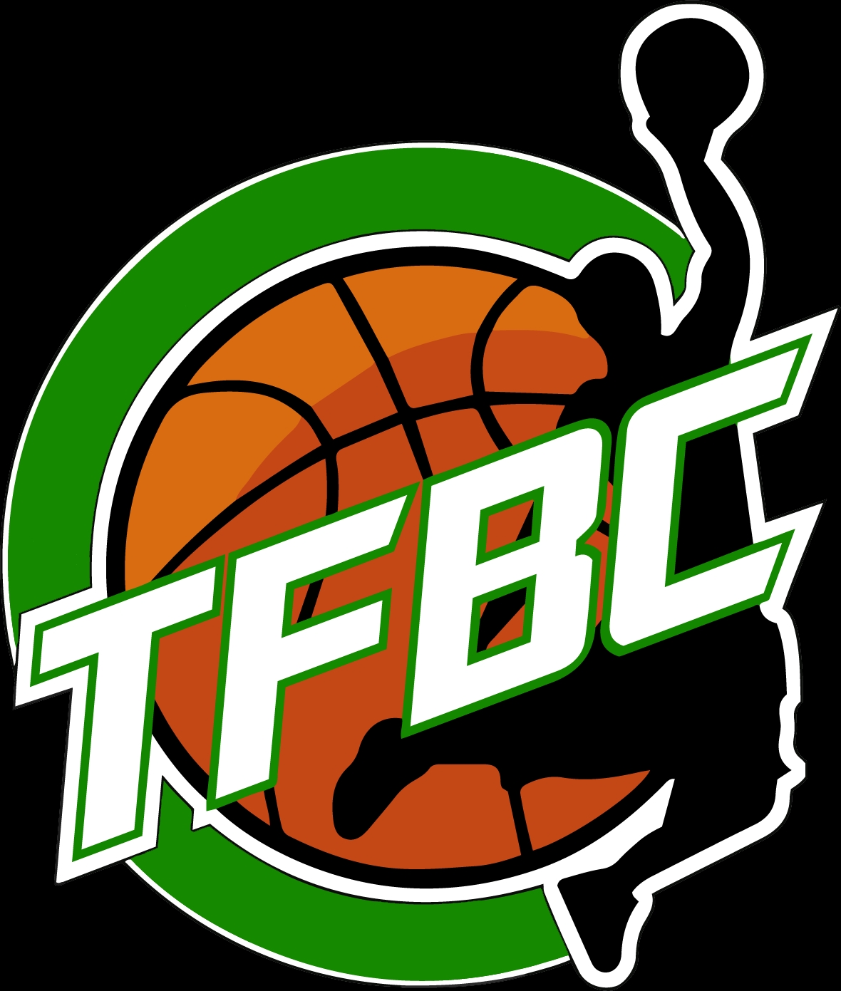 Logo THORIGNÉ-FOUILLARD BASKET CLUB